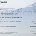 Ampliar imagen: certificate 7