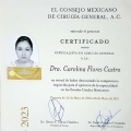Ampliar imagen: certificate 10