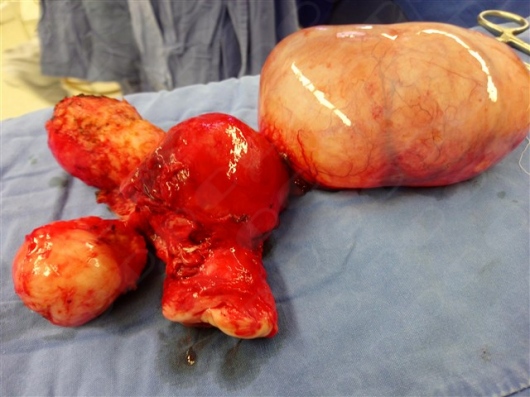 Sandra Cruz Rayón-2