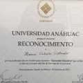 Ampliar imagen: certificate 13
