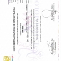Ampliar imagen: certificate 19