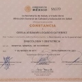 Ampliar imagen: certificate 3