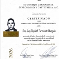 Ampliar imagen: certificate 2