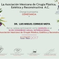 Ampliar imagen: certificate 8