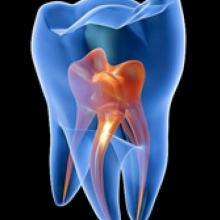 Ampliar imagen: Araceli Enzaldo Ruiz, Dentista - Odontólogo Puebla