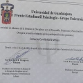 Ampliar imagen: certificate 11