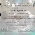 Ampliar imagen: certificate 8