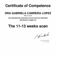 Ampliar imagen: certificate 2