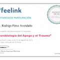 Ampliar imagen: certificate 11