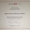 Ampliar imagen: certificate 5