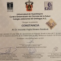 Ampliar imagen: certificate 3