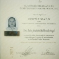 Ampliar imagen: certificate 1