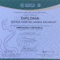 Ampliar imagen: certificate 5