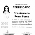 Ampliar imagen: certificate 3