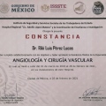 Ampliar imagen: certificate 12