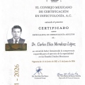 Ampliar imagen: certificate 2