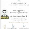Ampliar imagen: certificate 1