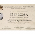 Ampliar imagen: certificate 4
