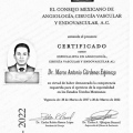 Ampliar imagen: certificate 1