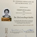 Ampliar imagen: certificate 2