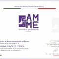 Ampliar imagen: certificate 3