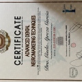 Ampliar imagen: certificate 9