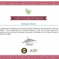 Ampliar imagen: certificate 9