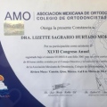 Ampliar imagen: certificate 7