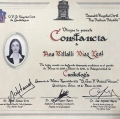 Ampliar imagen: certificate 7