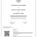 Ampliar imagen: certificate 2