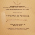 Ampliar imagen: certificate 28