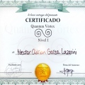 Ampliar imagen: certificate 31