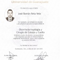 Ampliar imagen: certificate 2