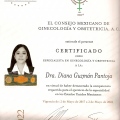 Ampliar imagen: certificate 2
