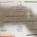 Ampliar imagen: certificate 4