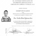 Ampliar imagen: certificate 3