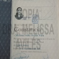 Ampliar imagen: certificate 15