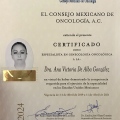 Ampliar imagen: certificate 1