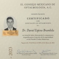 Ampliar imagen: certificate 2
