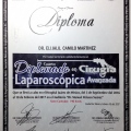 Ampliar imagen: certificate 13