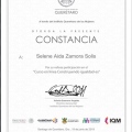Ampliar imagen: certificate 6