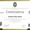 Ampliar imagen: certificate 11