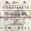 Ampliar imagen: certificate 15