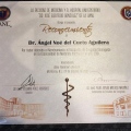 Ampliar imagen: certificate 3
