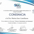 Ampliar imagen: certificate 7