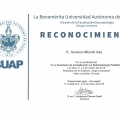 Ampliar imagen: certificate 15