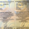 Ampliar imagen: certificate 3