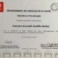 Ampliar imagen: certificate 3