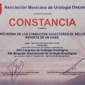 Ampliar imagen: certificate 6