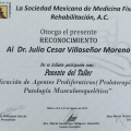 Ampliar imagen: certificate 28